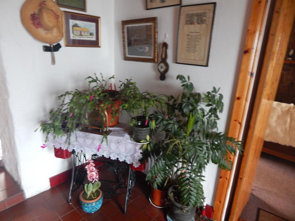 The Olde Castle B&B Renvyle Luaran gambar