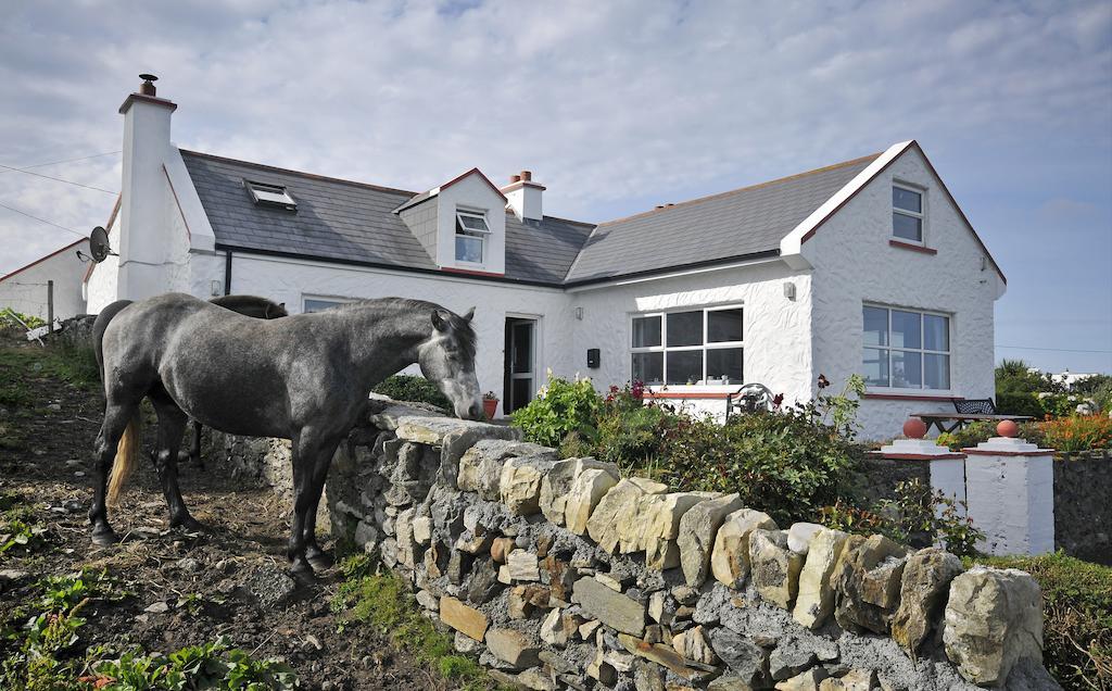 The Olde Castle B&B Renvyle Luaran gambar